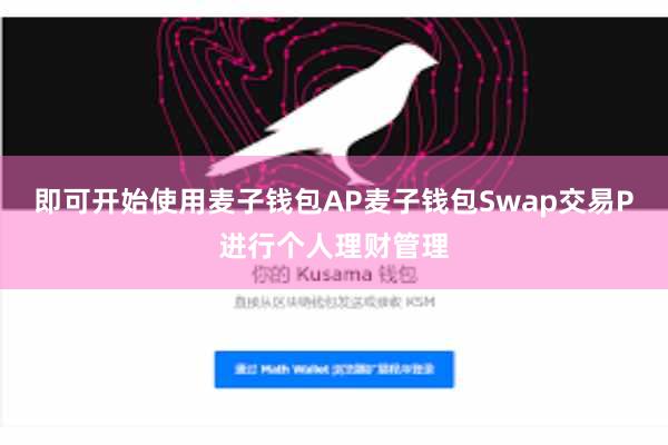 即可开始使用麦子钱包AP麦子钱包Swap交易P进行个人理财管理