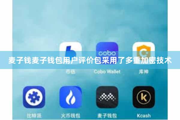 麦子钱麦子钱包用户评价包采用了多重加密技术