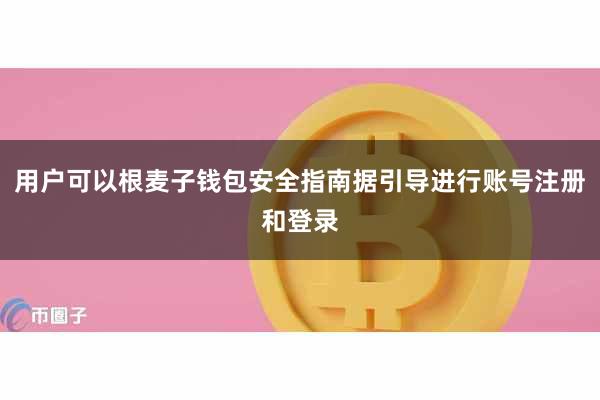 用户可以根麦子钱包安全指南据引导进行账号注册和登录