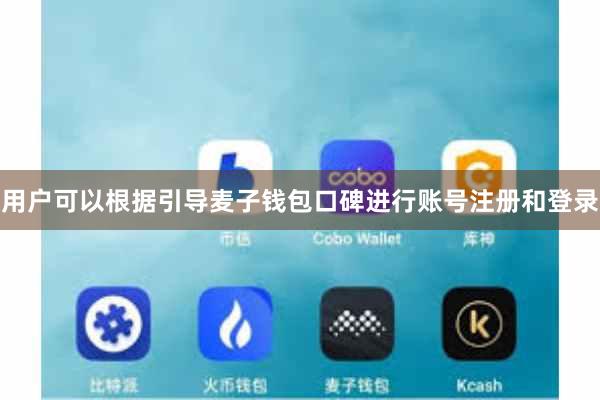 用户可以根据引导麦子钱包口碑进行账号注册和登录