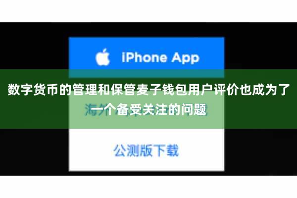 数字货币的管理和保管麦子钱包用户评价也成为了一个备受关注的问题