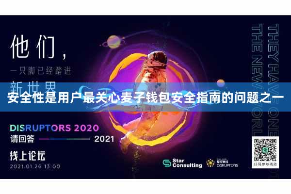 安全性是用户最关心麦子钱包安全指南的问题之一