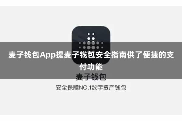 麦子钱包App提麦子钱包安全指南供了便捷的支付功能