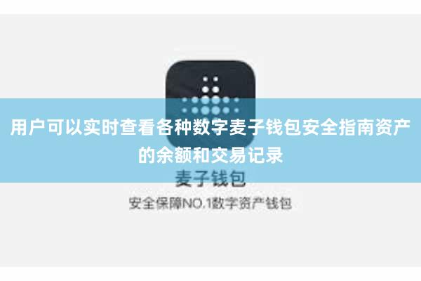 用户可以实时查看各种数字麦子钱包安全指南资产的余额和交易记录