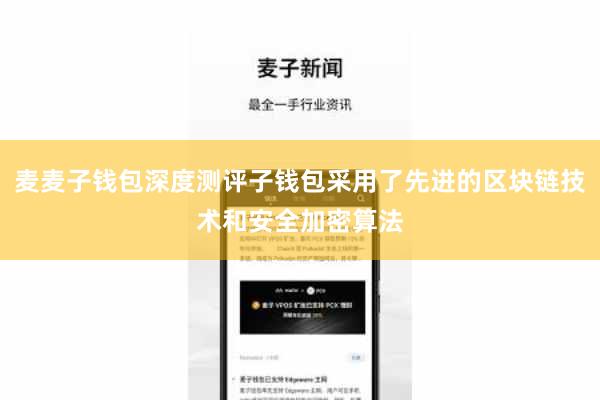 麦麦子钱包深度测评子钱包采用了先进的区块链技术和安全加密算法