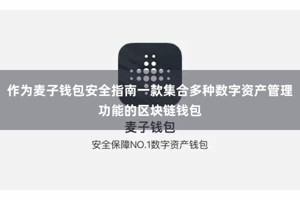 作为麦子钱包安全指南一款集合多种数字资产管理功能的区块链钱包