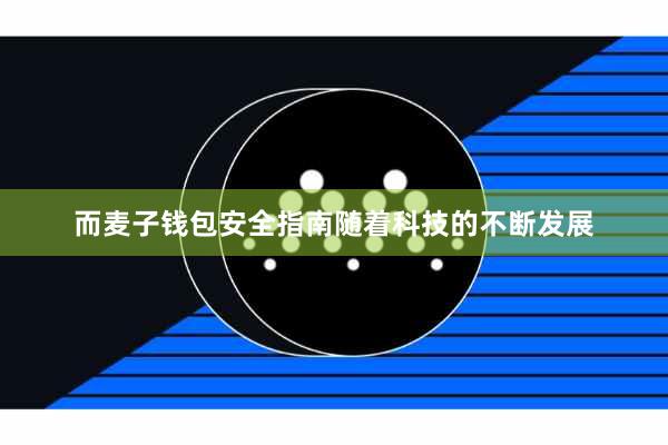而麦子钱包安全指南随着科技的不断发展