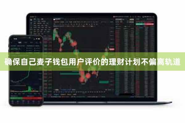 确保自己麦子钱包用户评价的理财计划不偏离轨道