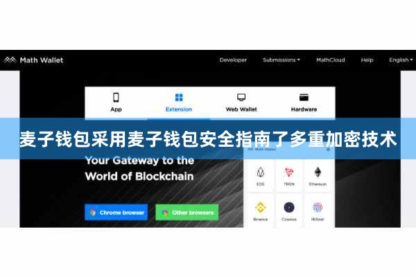 麦子钱包采用麦子钱包安全指南了多重加密技术