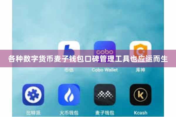 各种数字货币麦子钱包口碑管理工具也应运而生