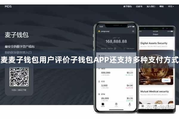 麦麦子钱包用户评价子钱包APP还支持多种支付方式