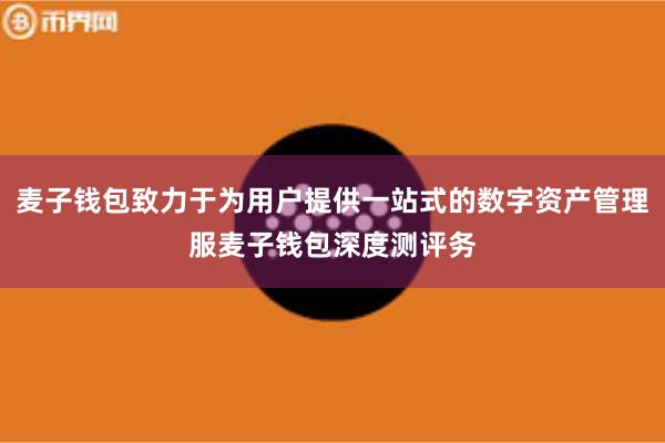 麦子钱包致力于为用户提供一站式的数字资产管理服麦子钱包深度测评务