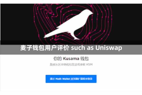 麦子钱包用户评价 such as Uniswap