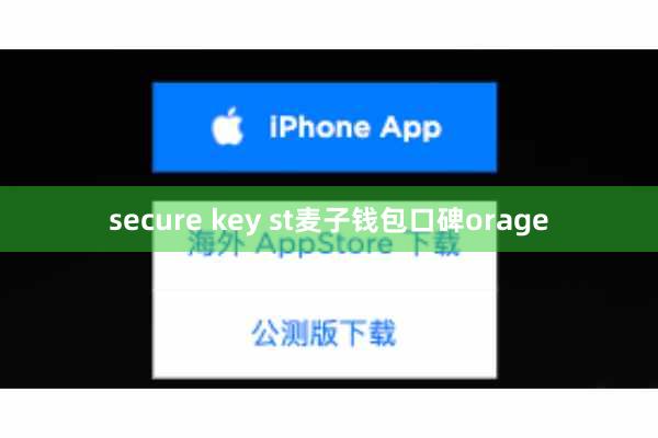 secure key st麦子钱包口碑orage