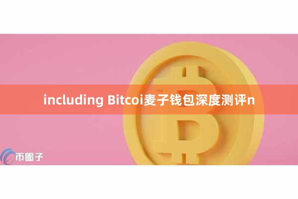 including Bitcoi麦子钱包深度测评n