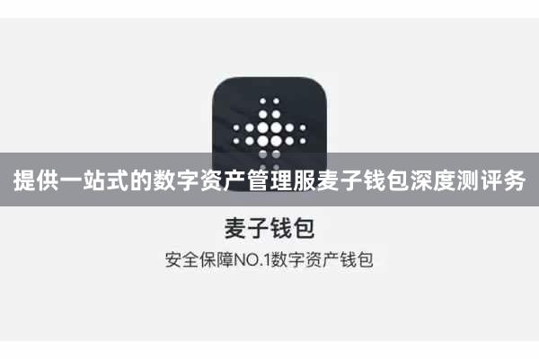 提供一站式的数字资产管理服麦子钱包深度测评务