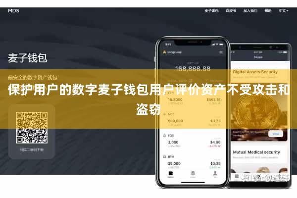 保护用户的数字麦子钱包用户评价资产不受攻击和盗窃