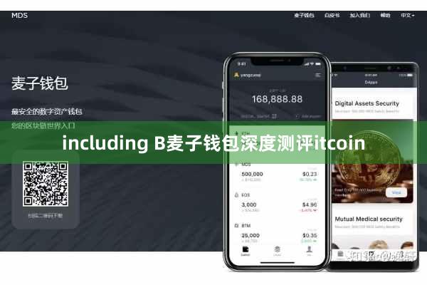 including B麦子钱包深度测评itcoin