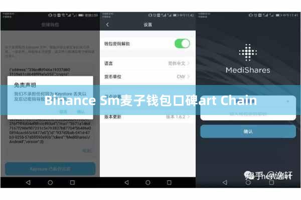 Binance Sm麦子钱包口碑art Chain
