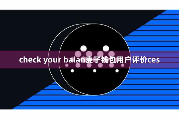 check your balan麦子钱包用户评价ces