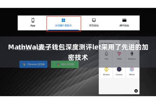 MathWal麦子钱包深度测评let采用了先进的加密技术